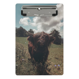 Black highland Scottish cow grazing vintage retro Mini Clipboard