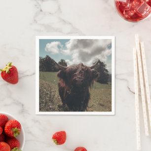Black highland Scottish cow grazing vintage retro Napkin