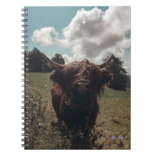 Black highland Scottish cow grazing vintage retro Notebook
