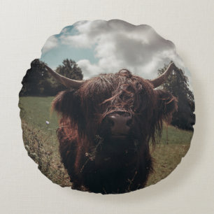 Black highland Scottish cow grazing vintage retro Round Cushion