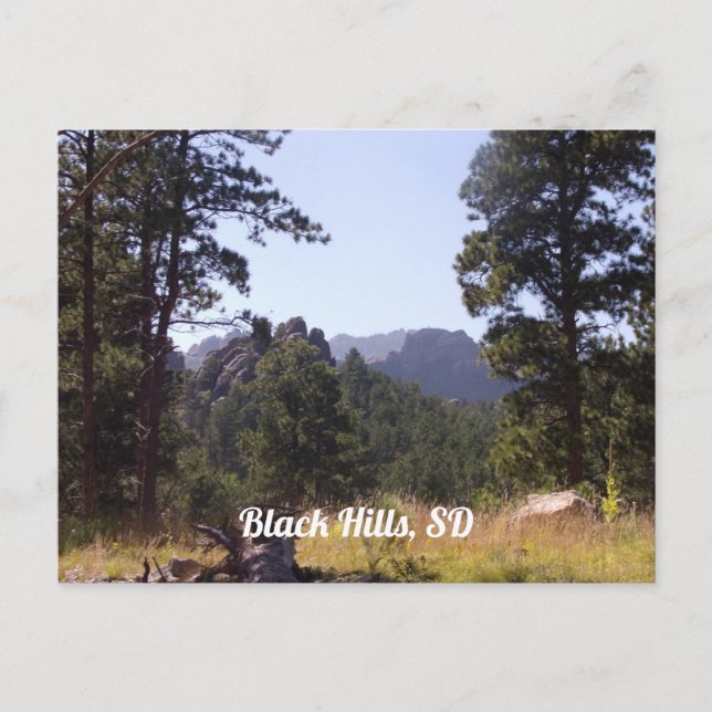 Black Hills, South Dakota Postcard (Front)