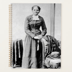 Black History Icons: Harriet Tubman, Civil Rights Planner
