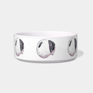black hooded rat feeding bowl