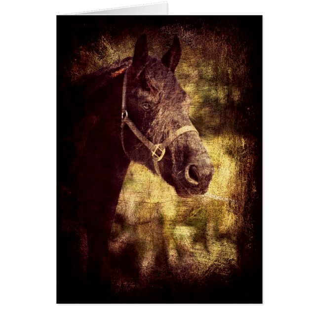 Black Horse (Front)