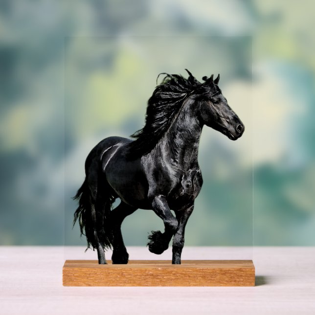 Black horse acrylic sign (Neutral)