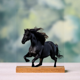 Black horse acrylic sign