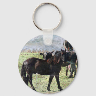 black horse and dairy cattle key ring