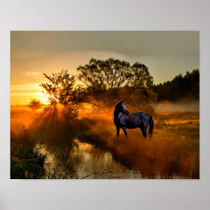 Black horse at sunrise or sunset poster