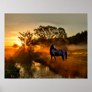 Black horse at sunrise or sunset poster