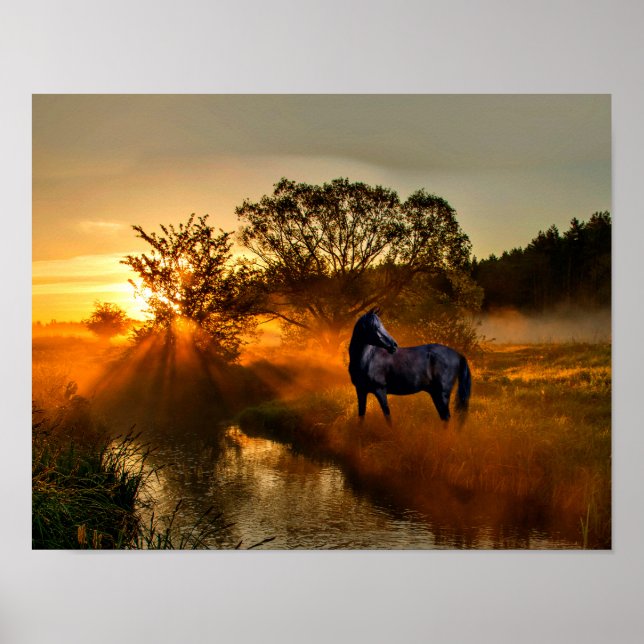 Black horse at sunrise or sunset poster (Front)