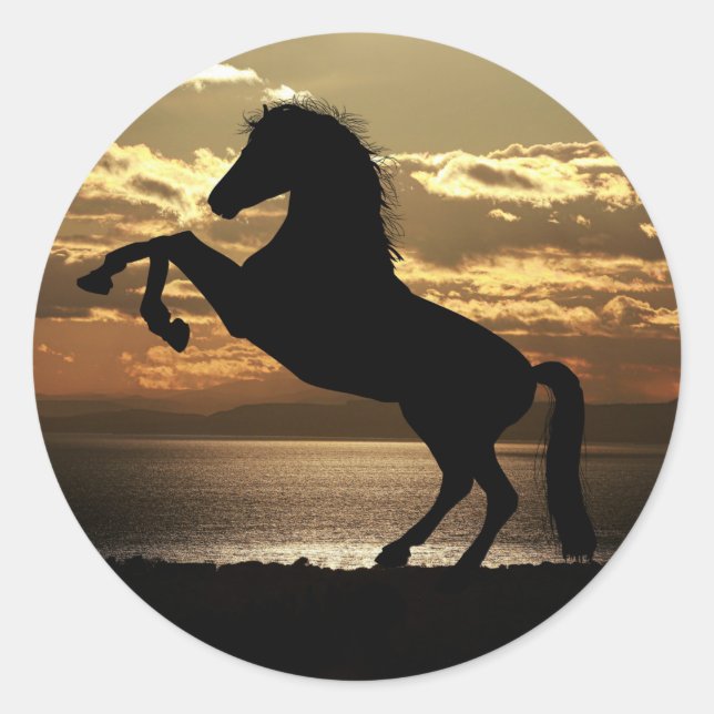 Black horse/ brown stickers. classic round sticker (Front)
