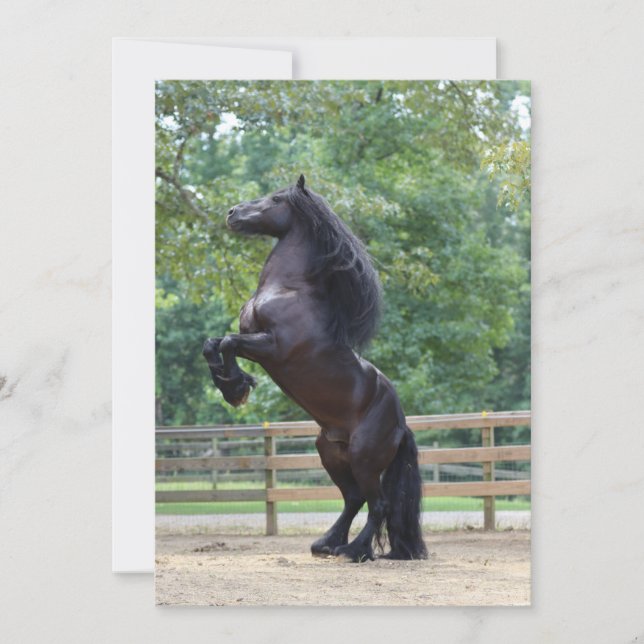 Black horse card (Front)