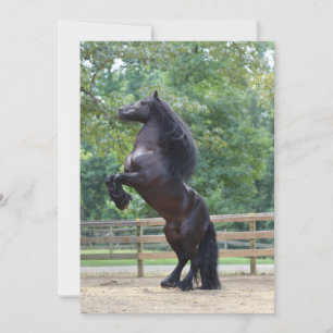 Black horse card