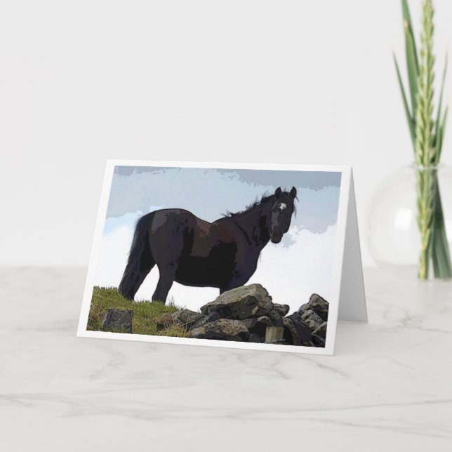 Black horse card (Front)