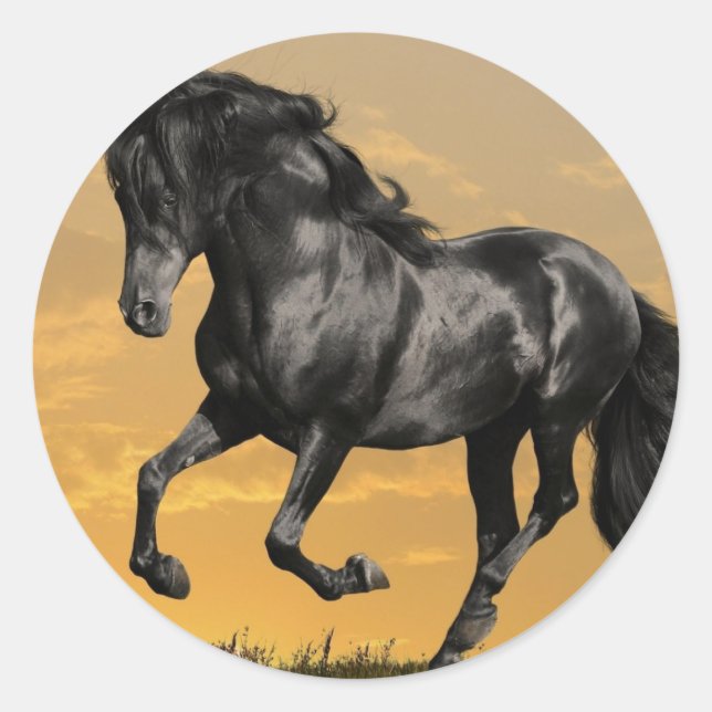 Black horse classic round sticker (Front)