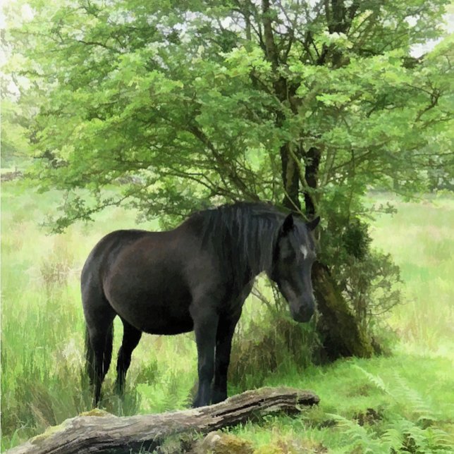 BLACK HORSE CUTTING BOARD (A beautiful black mare resting in the shade of a tree. )