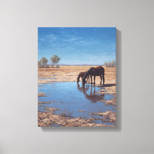 Black Horse Desert Water Reflection Art Canvas Print