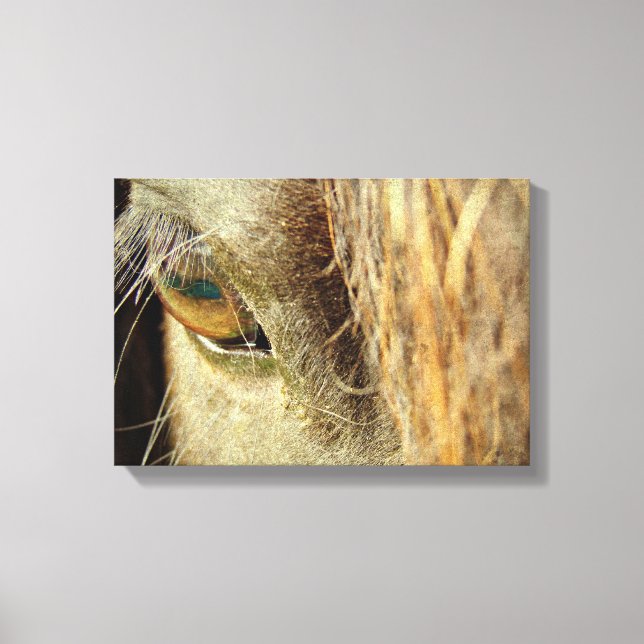 Black Horse Eye Canvas Print (Front)