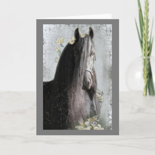 Black Horse - Greeting Card