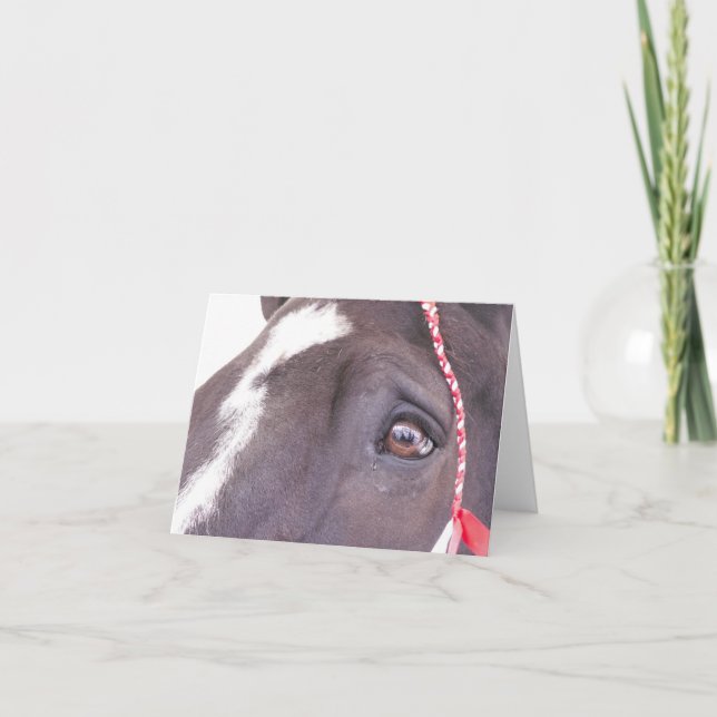 Black Horse greeting card (Front)