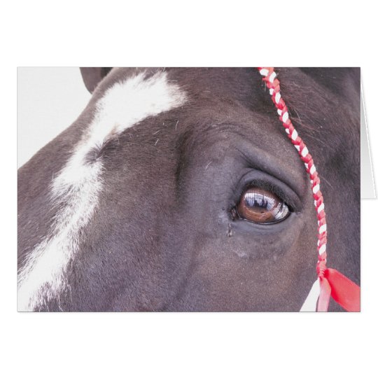 Black Horse greeting card