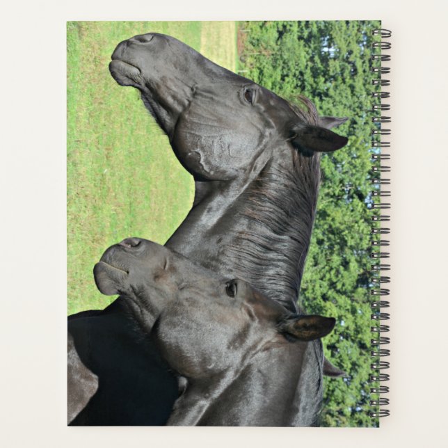 Black Horse Heads in Peaceful Profile Planner (Back)