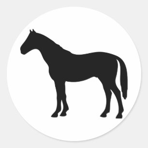 black horse - horses classic round sticker