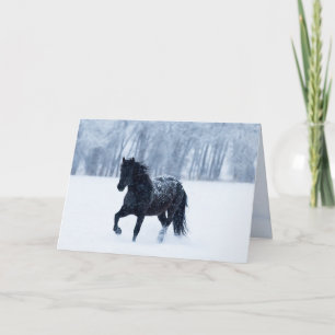 Black Horse in the Snow Greeting Card