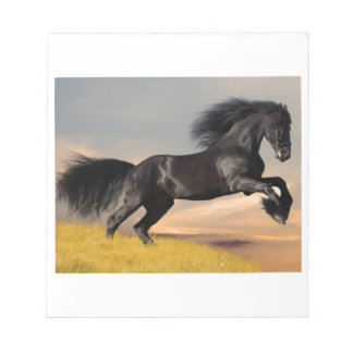 black horse on desert notepad