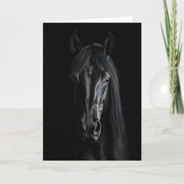 Black Horse Photograph  Card (Front)