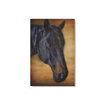 Black Horse Portrait on Rustic Parchment effect