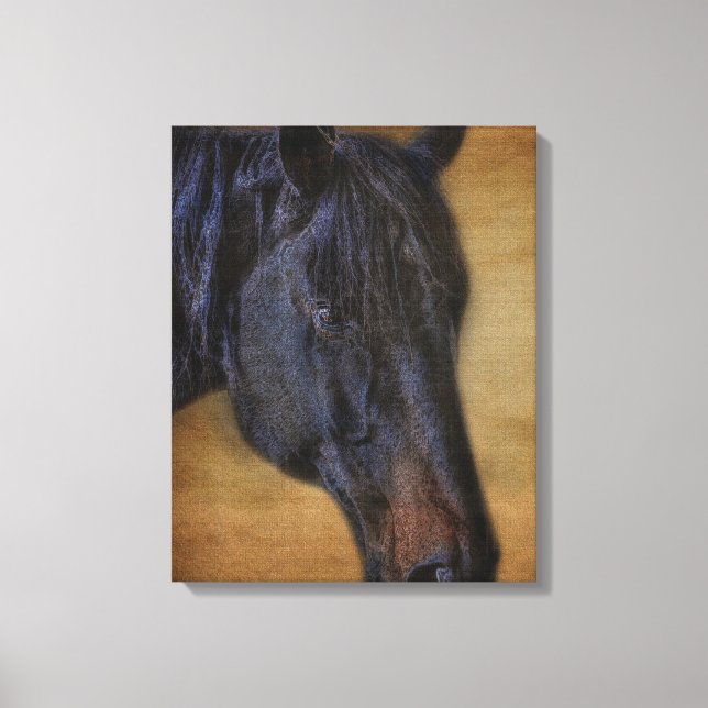 Black Horse Portrait on Rustic Parchment effect Canvas Print (Front)