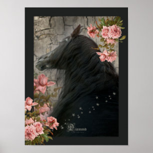 Black Horse - Poster