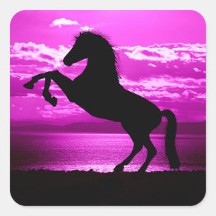 Black Horse Purple Sky and Water   Square Sticker