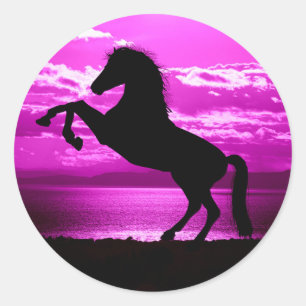 Black horse/ purple stickers. classic round sticker