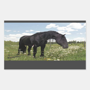 Black Horse Rectangular Sticker