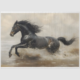 Black Horse Running on the Beach Decoupage Tissue Paper