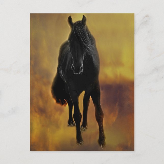 Black Horse Silhouette Postcard (Front)