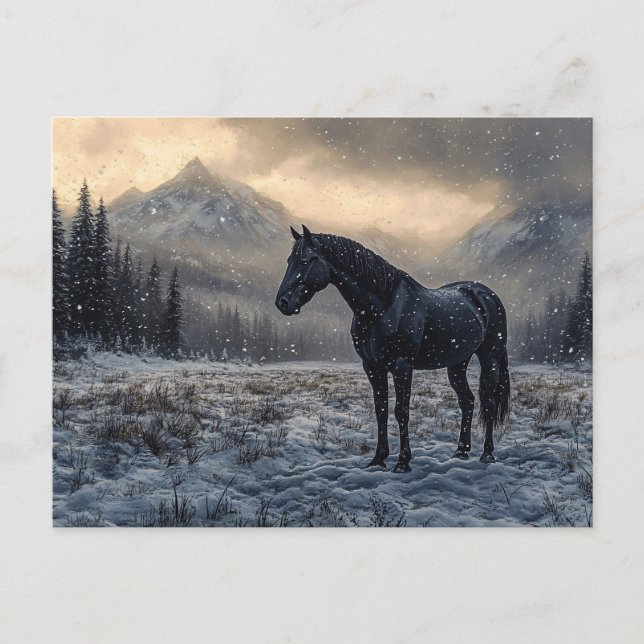 Black Horse Snowy Landscape Scenic Postcard (Front)