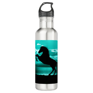Black Horse Teal Sky and Water 710 Ml Water Bottle