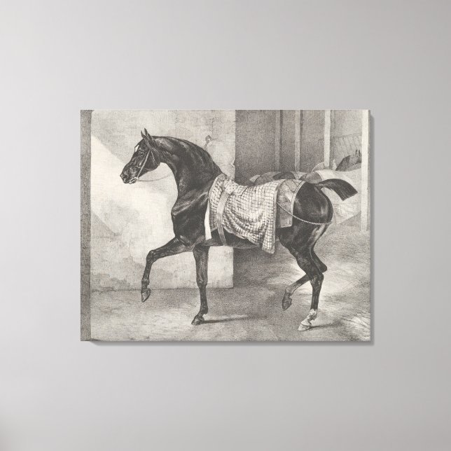 "Black Horse Tethered" by Théodore Gericault Canvas Print (Front)