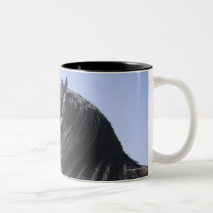 black horse with long mane Two-Tone coffee mug