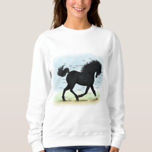 Black Horse with Star & Sock Anatomy Chart Sweatshirt