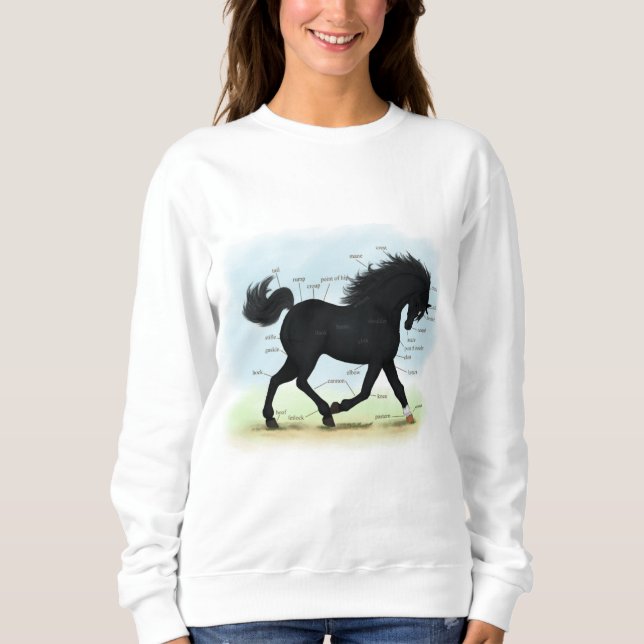 Black Horse with Star & Sock Anatomy Chart Sweatshirt (Front)
