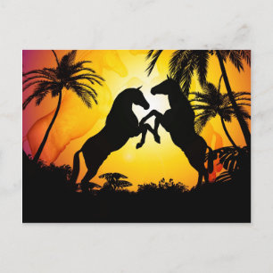 Black horses postcard