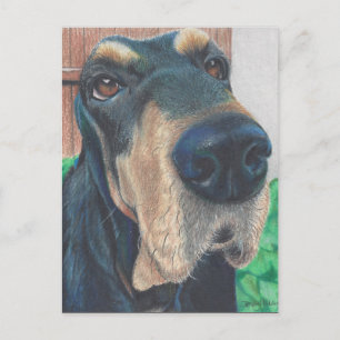 black hound post card