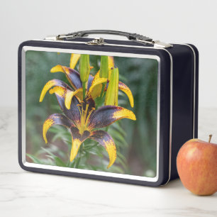 Black Hybrid Asiatic Lily, Bold and Elegant Floral Metal Lunch Box