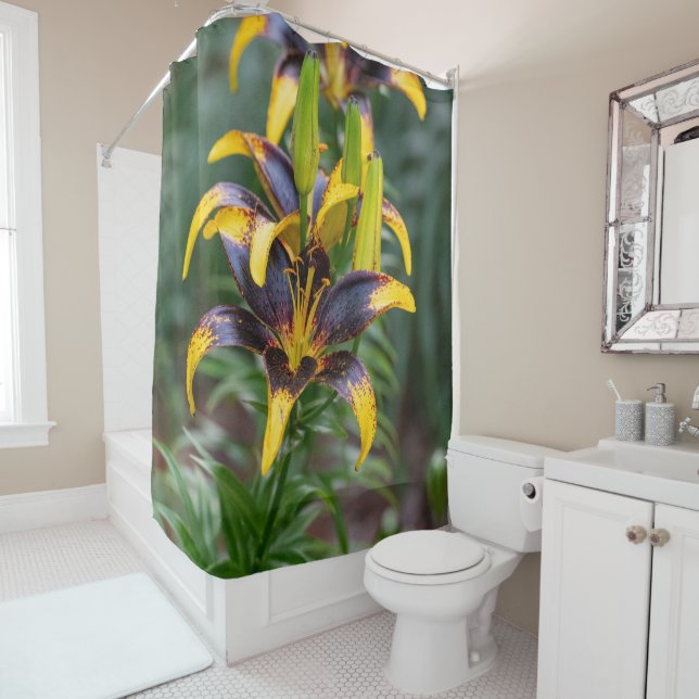 Black Hybrid Asiatic Lily, Flower Photography Shower Curtain (In Situ)