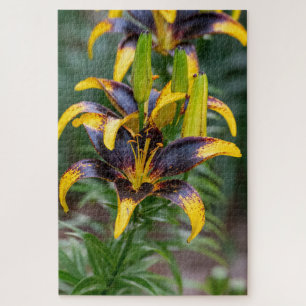 Black Hybrid Lily – Dramatic Floral Photo Jigsaw Puzzle