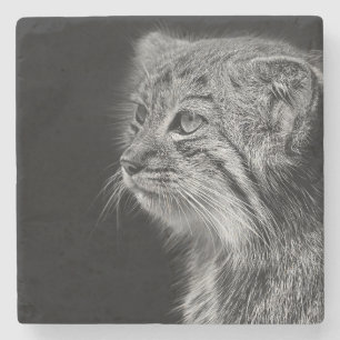 Black in white pallas cat portrait stone coaster